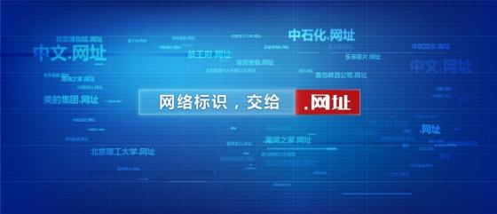 中国知识产权报：全球占比84.5%！中文域名为何成知识产权保护新焦点？ 