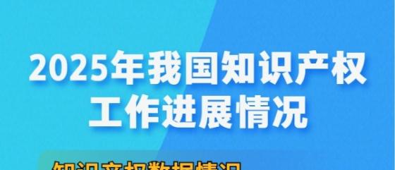 2025知识产权工作“成绩单”来了